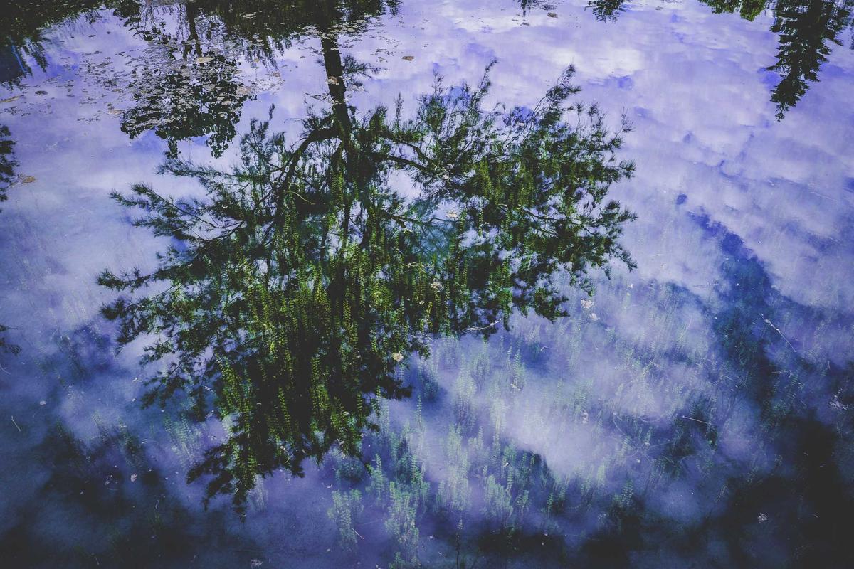 교토의 정적: 고택 료칸 기행